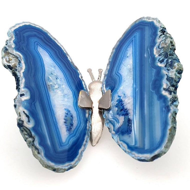 blue agate butterfly