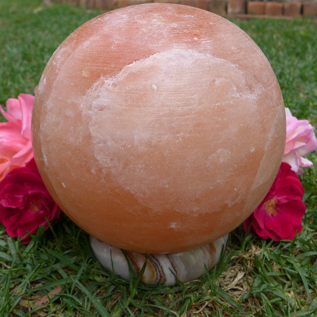 Carved Sphere Himalayan Salt Lamps with Onyx Bases