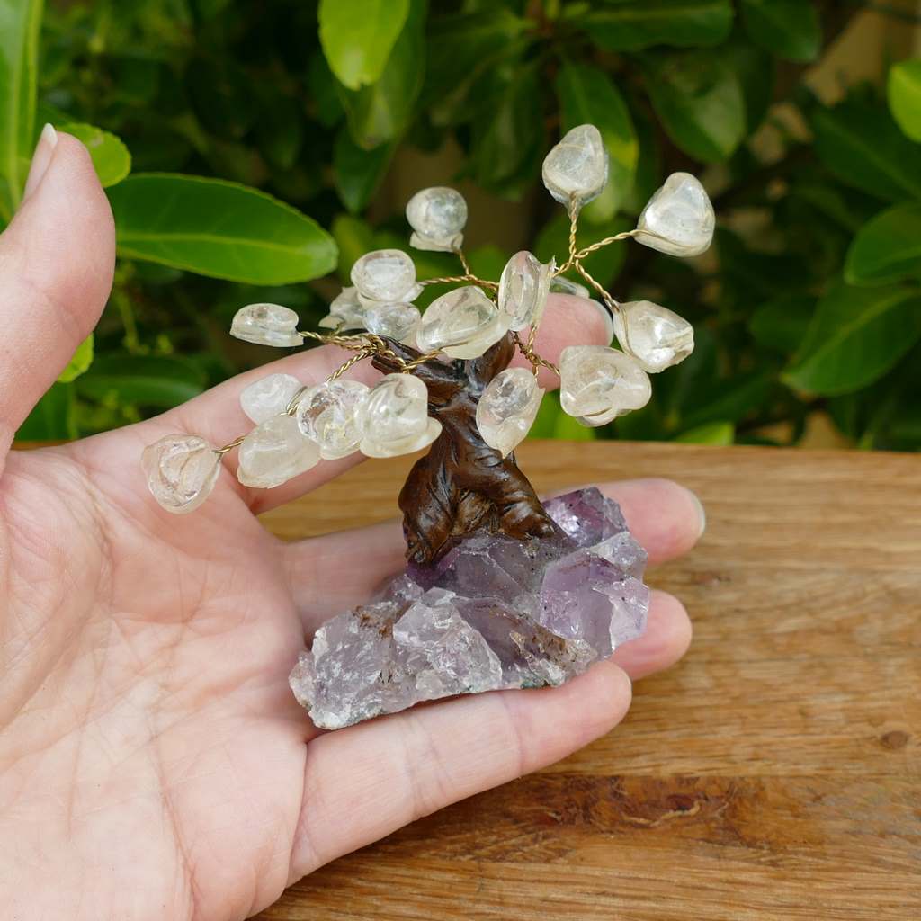 Bonsai Gem Tree with Beautiful Clear Quartz Crystals on an Amethyst Crystal Base
