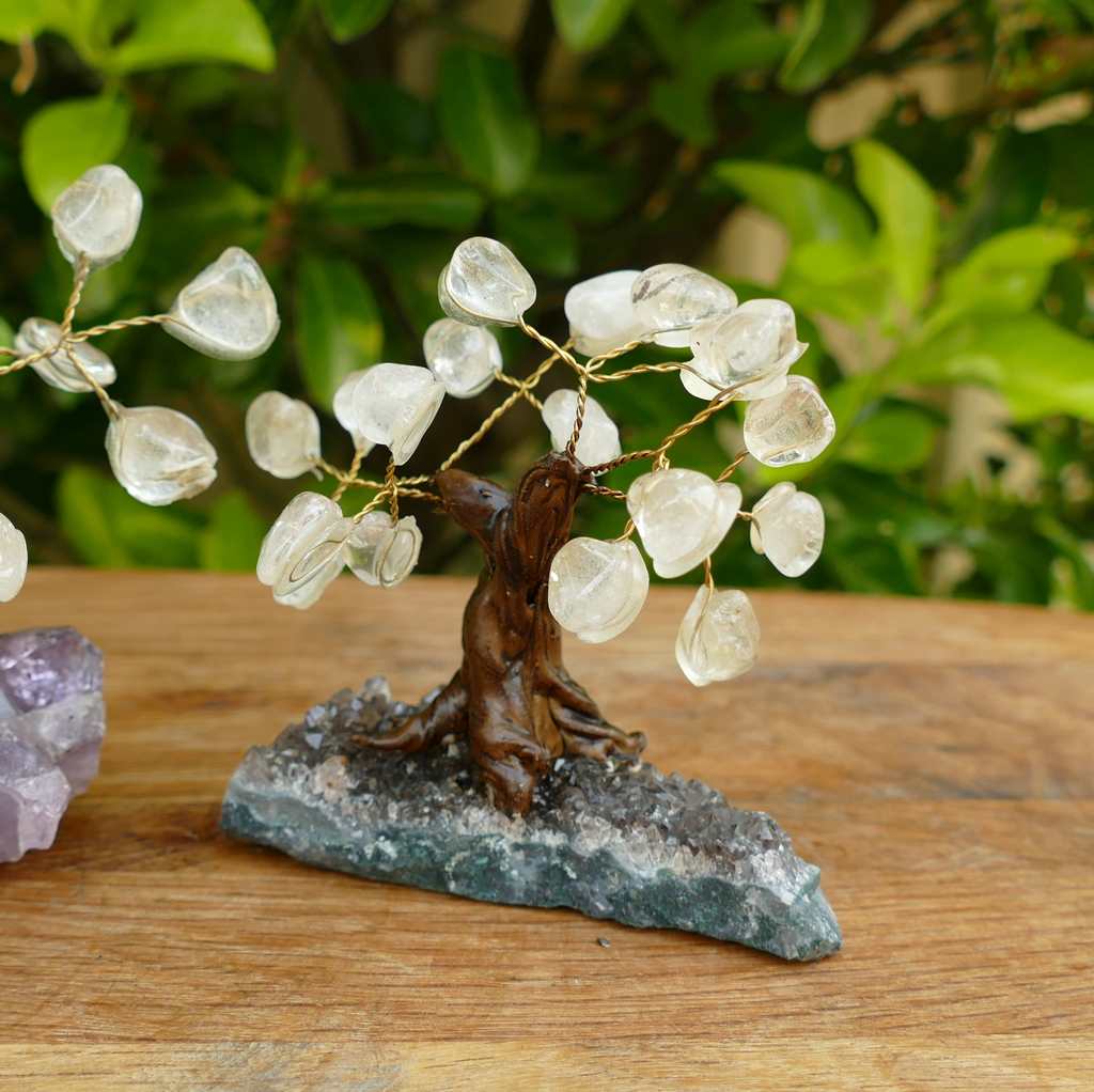 Bonsai Gem Tree with Beautiful Clear Quartz Crystals on an Amethyst Crystal Base