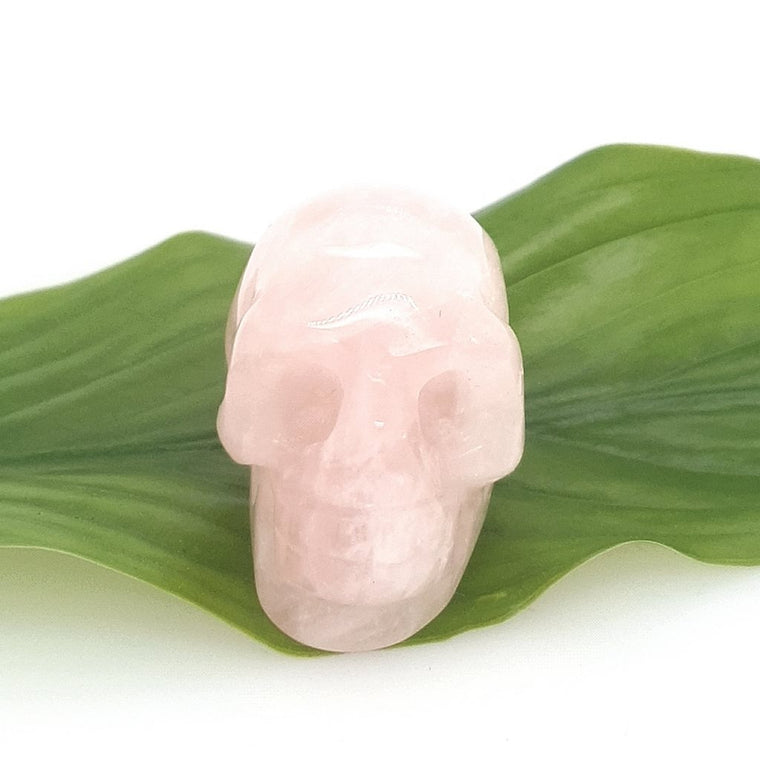 small rose quartz skull