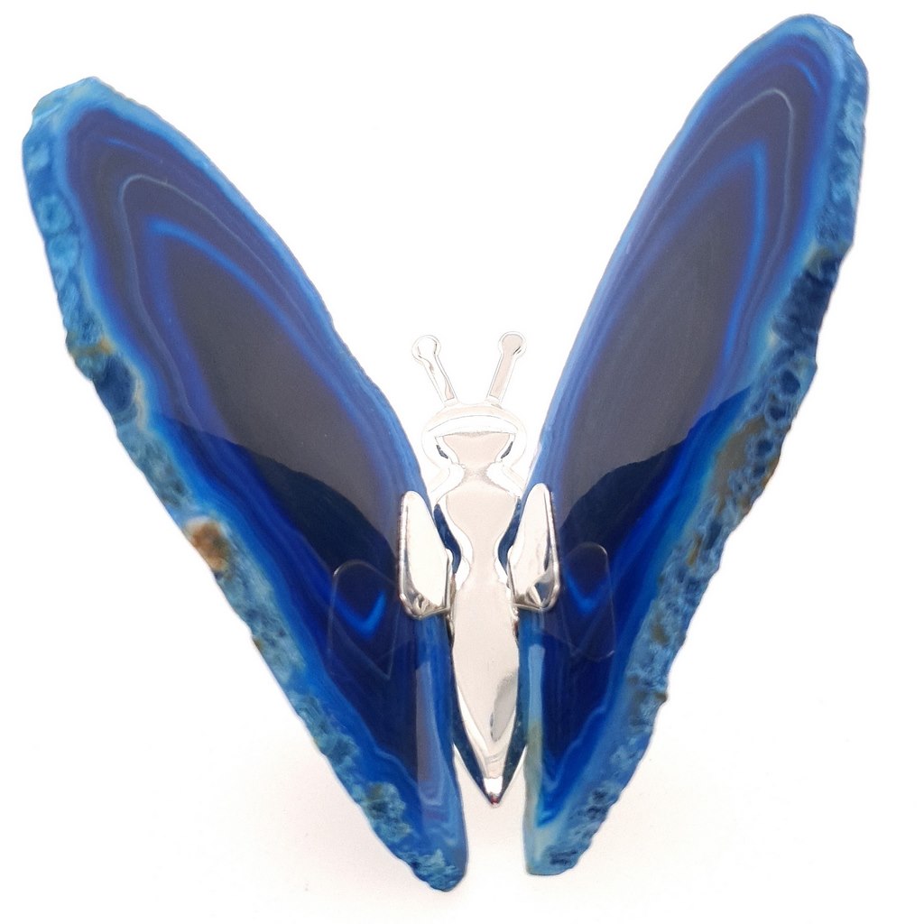 blue agate butterfly