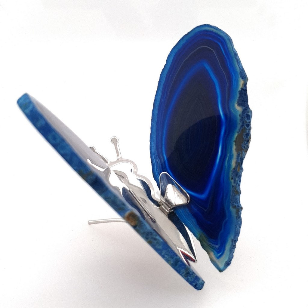 blue agate butterfly