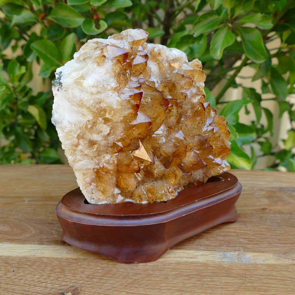 Citrine Crystal Cluster from Brazil
