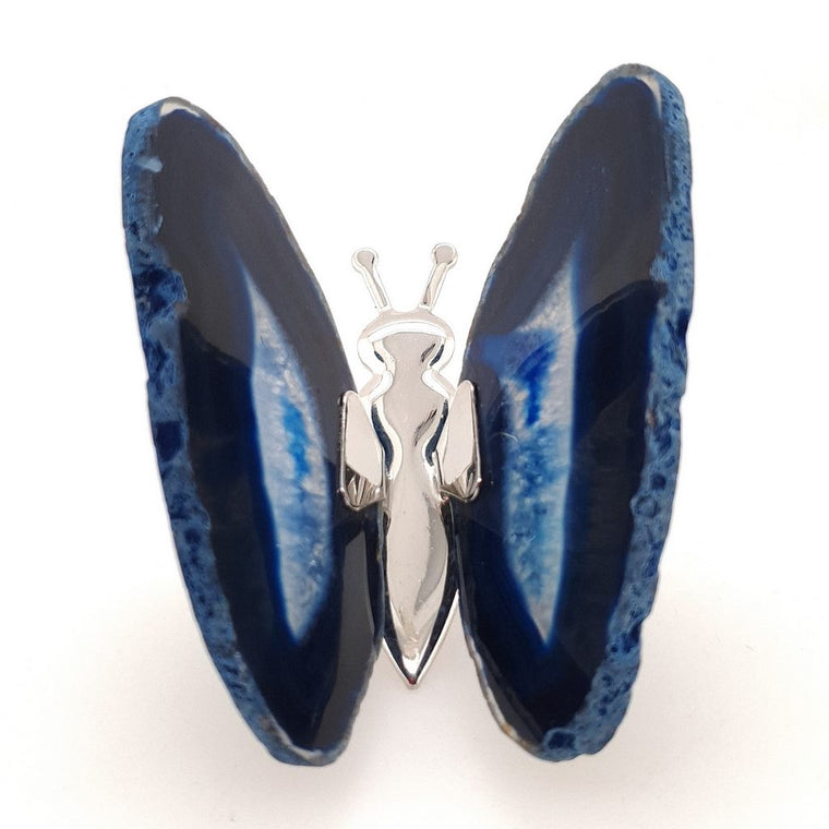 blue agate butterfly