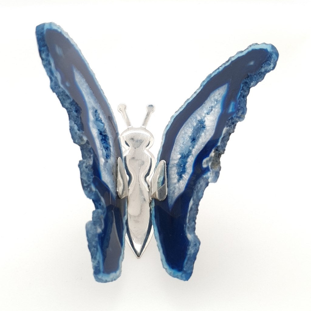 blue agate butterfly