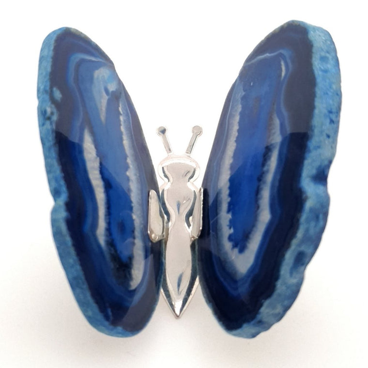 blue agate butterfly