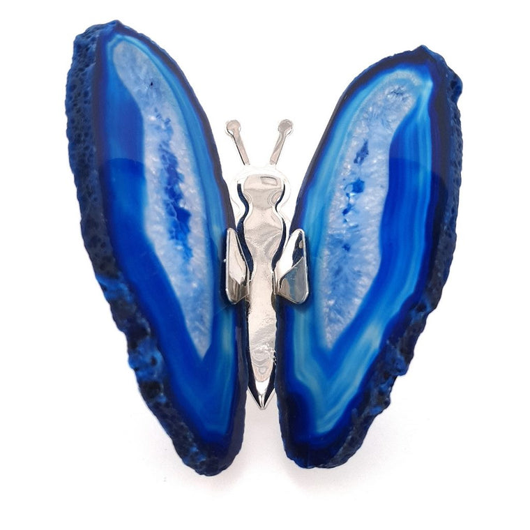 blue agate butterfly