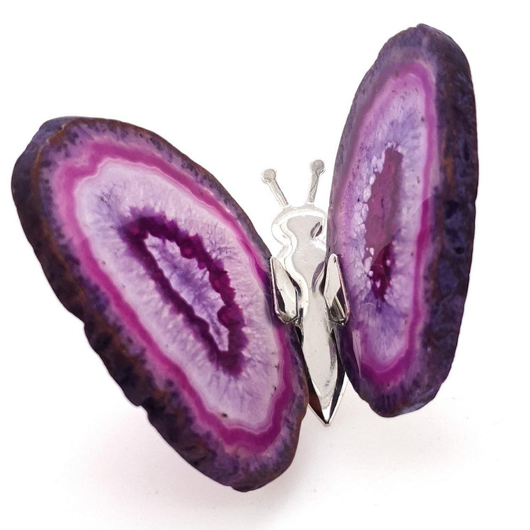 purple agate butterfly