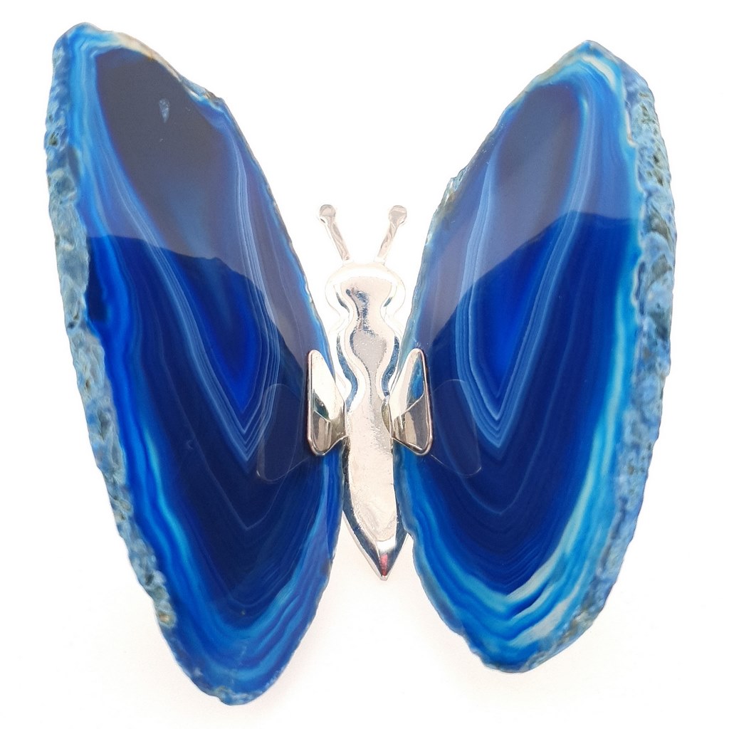 blue agate butterfly