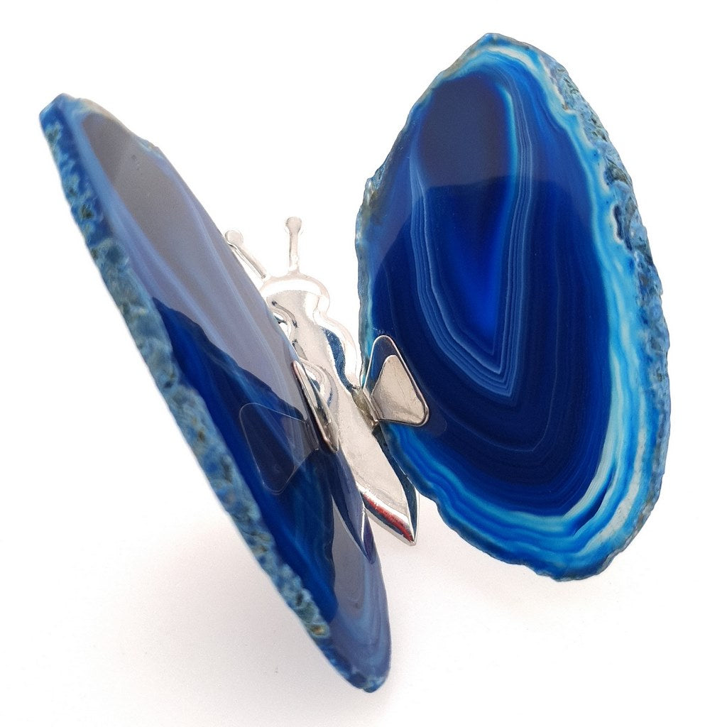 blue agate butterfly