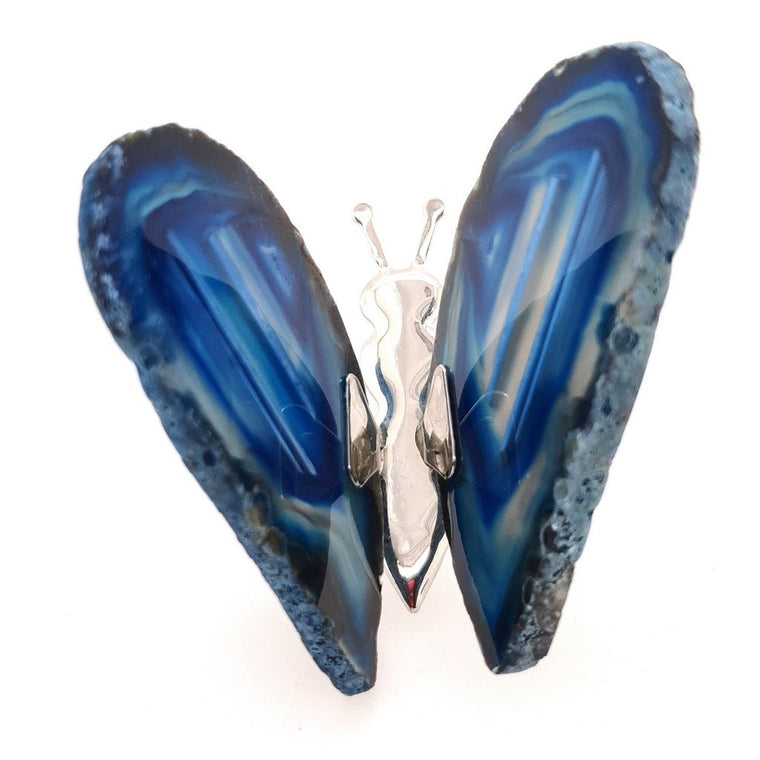 blue agate butterfly