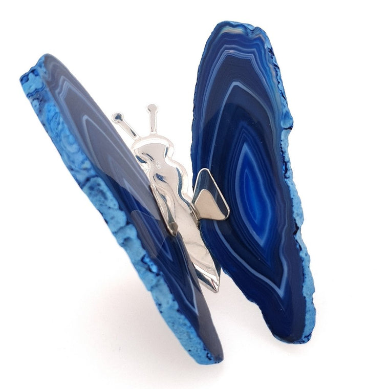 blue agate butterfly