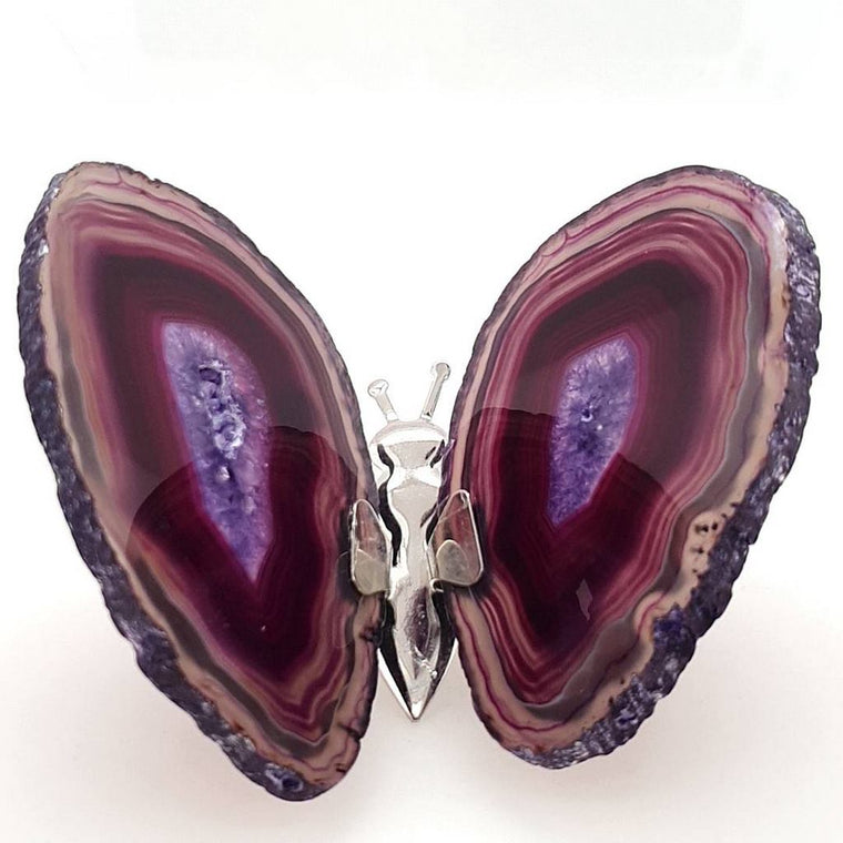 purple agate butterfly