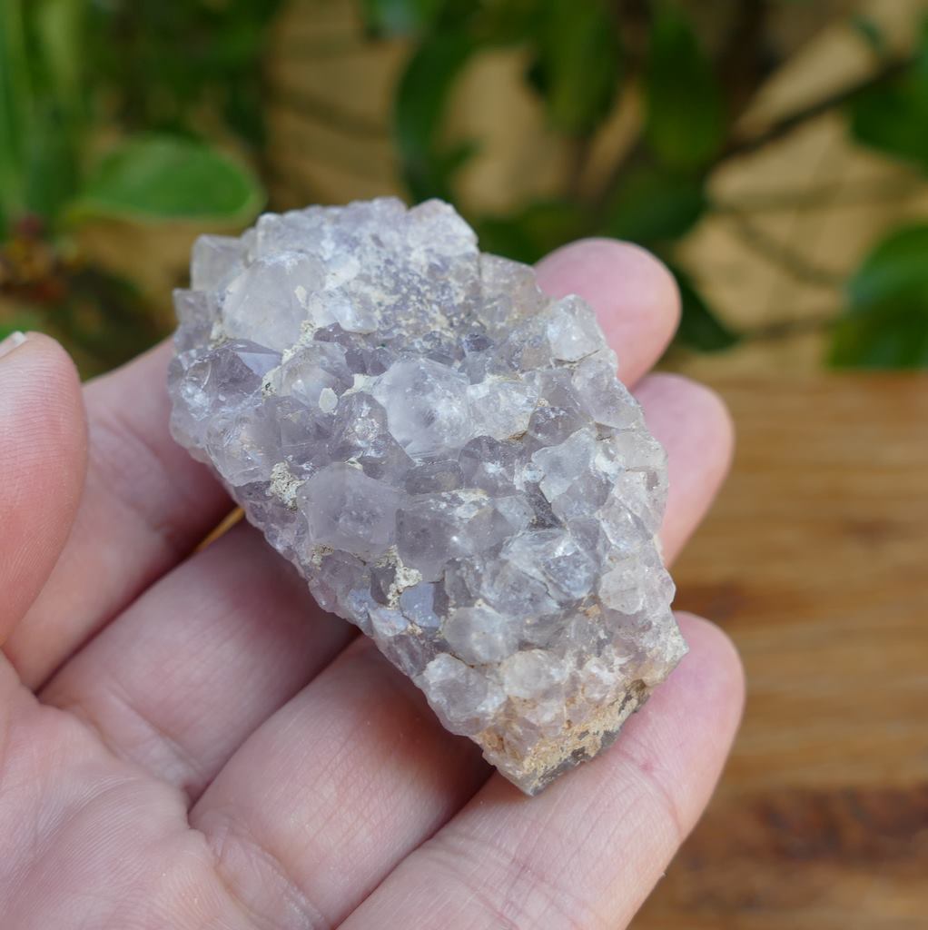 5 small amethyst clusters