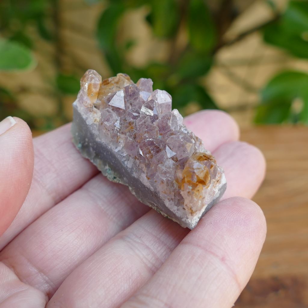 5 small amethyst clusters