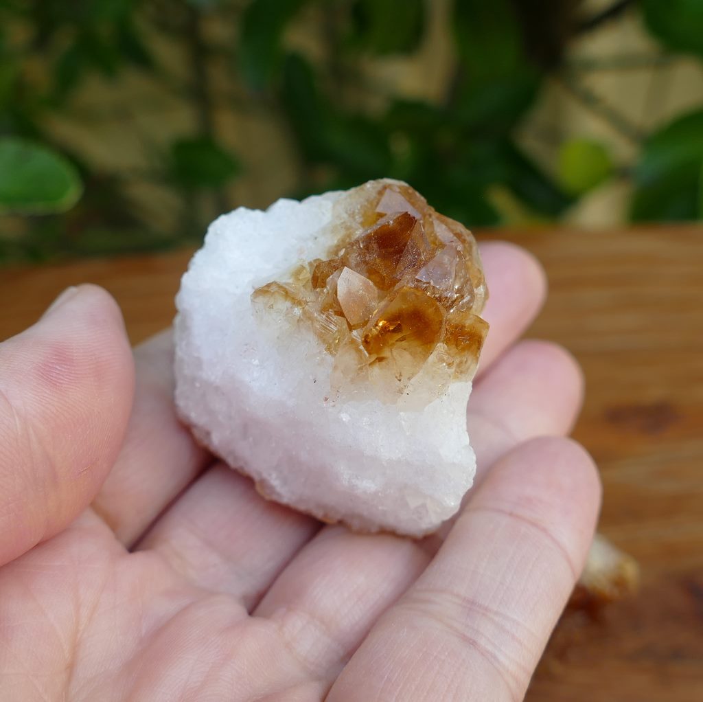 5 pieces citrine clusters