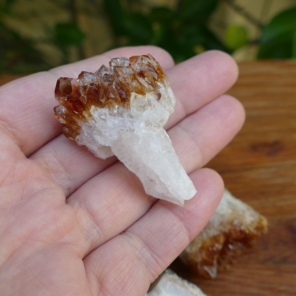 5 pieces citrine clusters