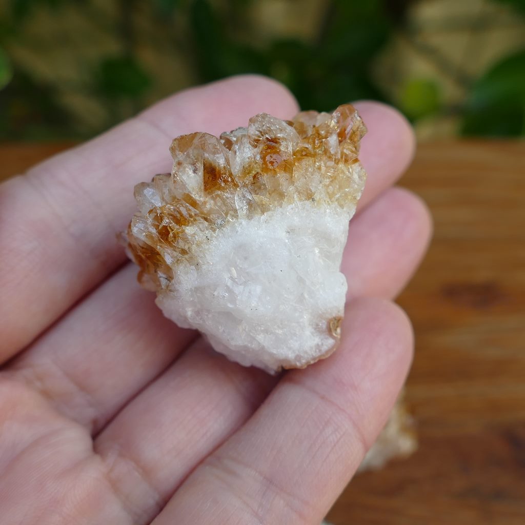 5 pieces citrine clusters