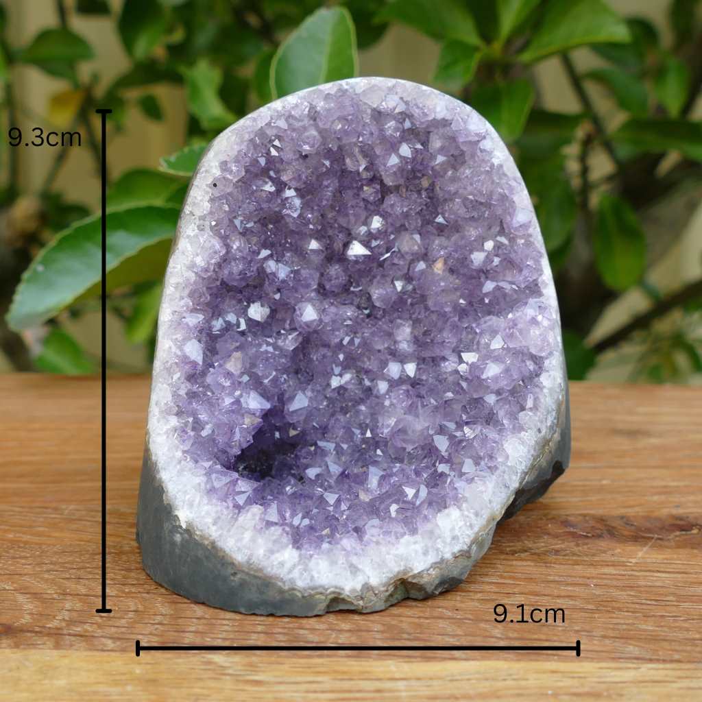 Deep Purple Amethyst Crystal Cluster on Cut Base from Uruguay