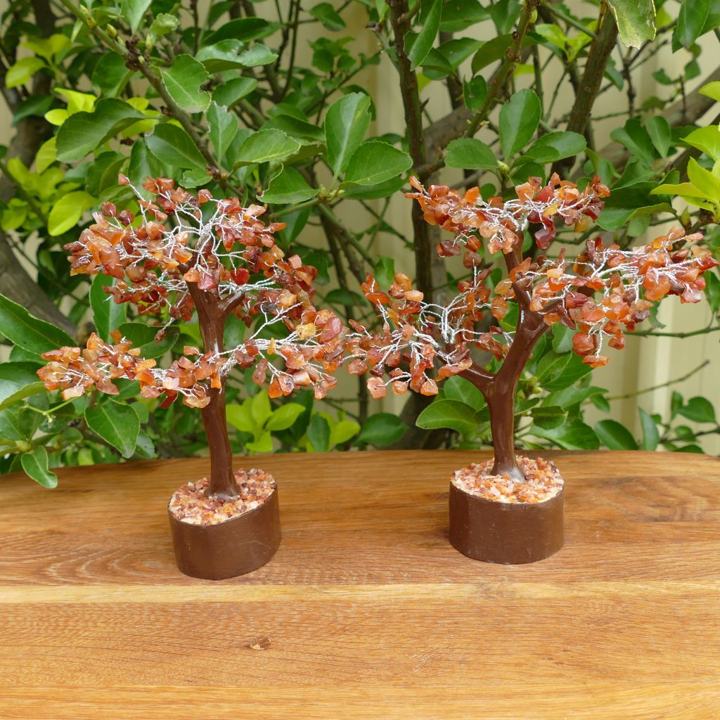 Carnelian Crystal tree on Wood base