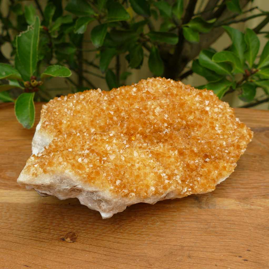 citrine cluster on wood base