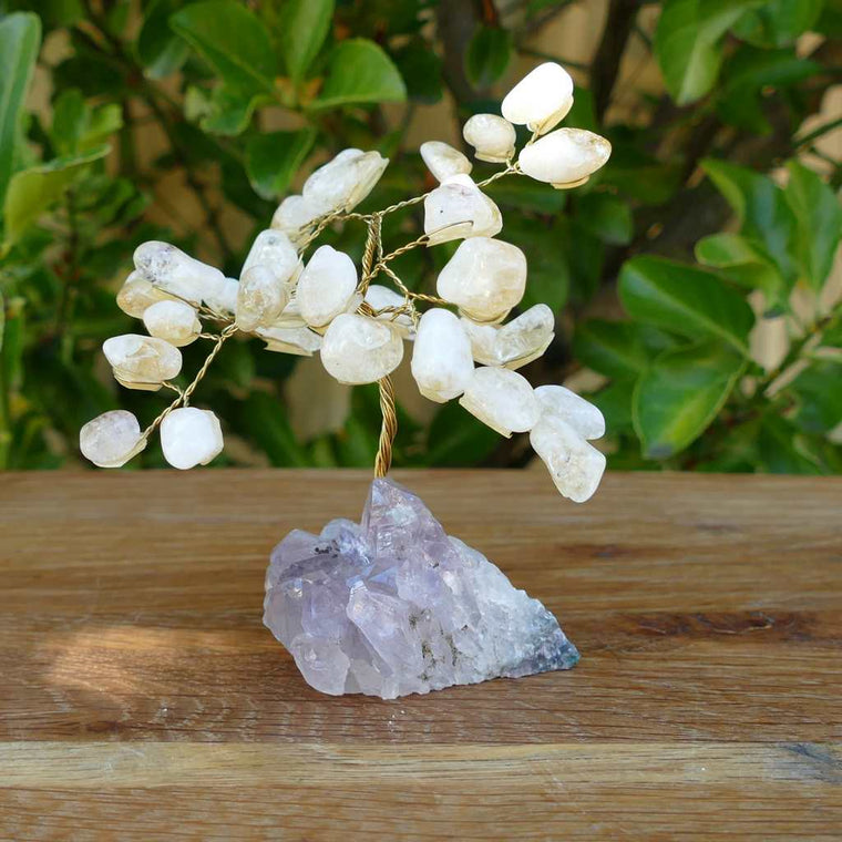 citrine crystal gem tree