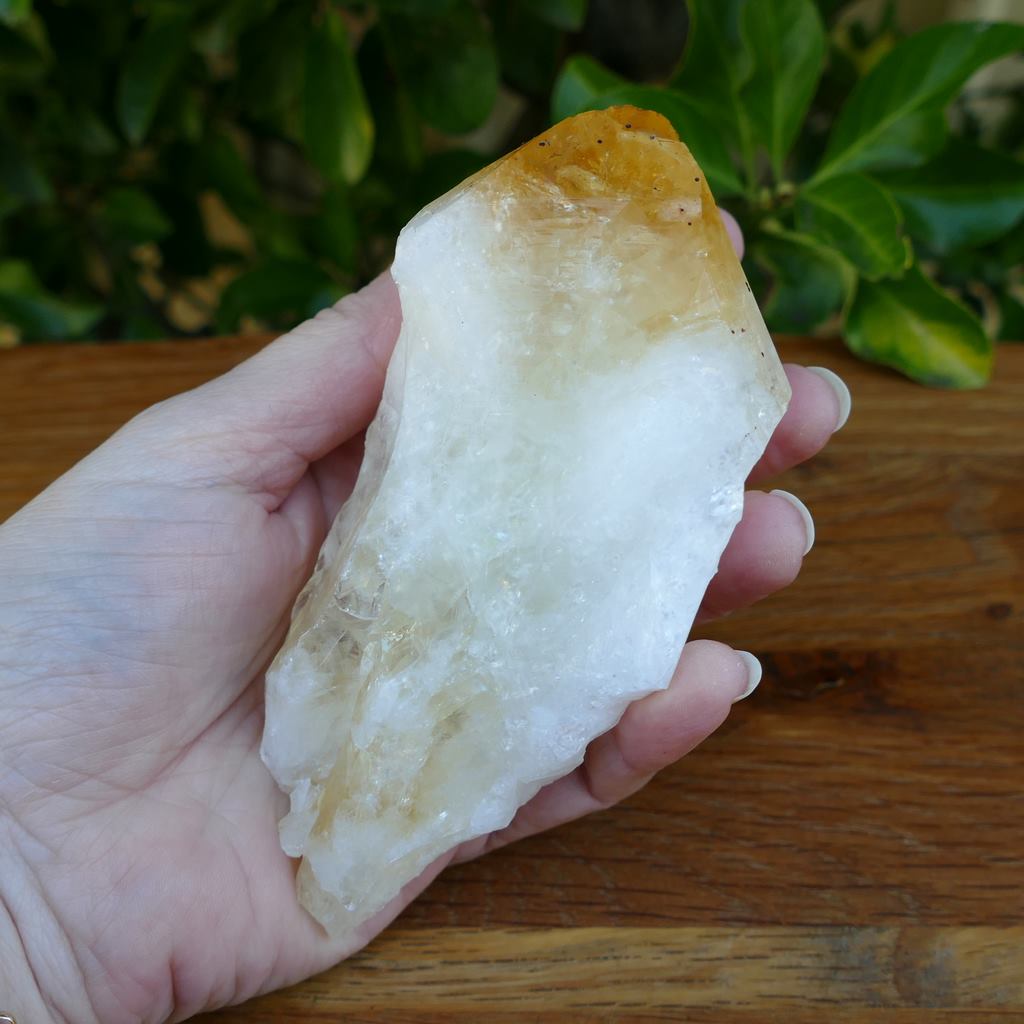 Citrine Crystal - Natural Point