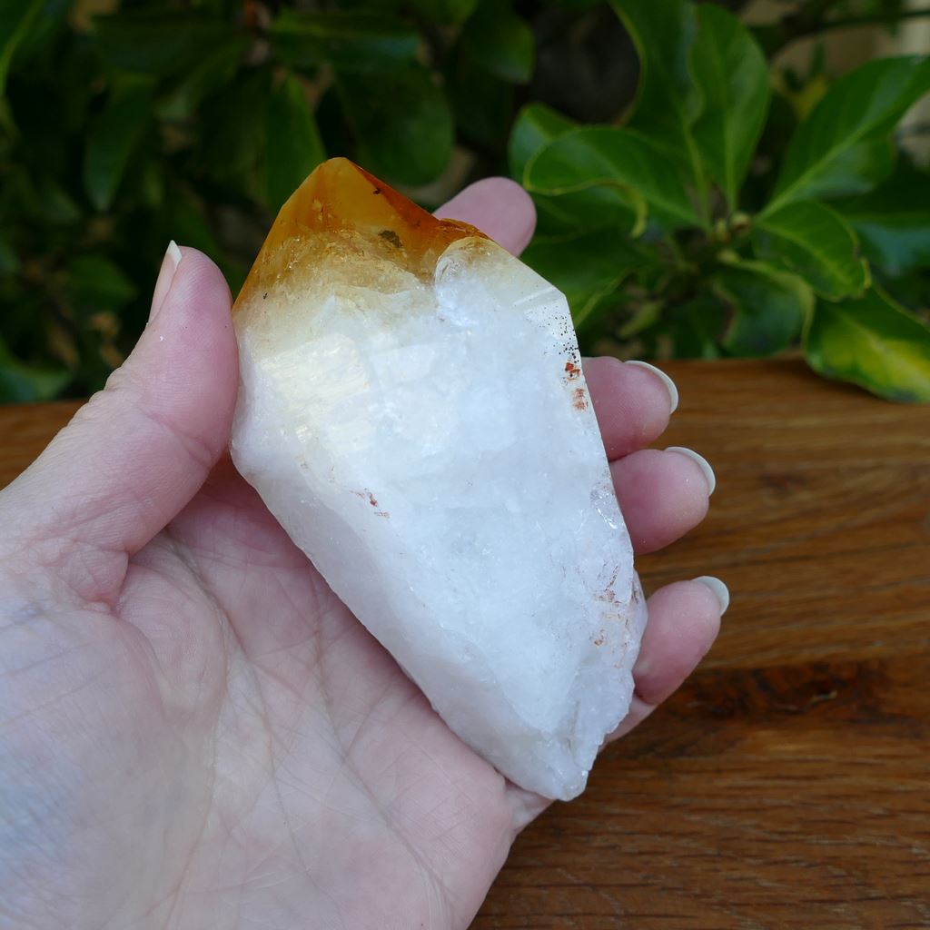 Citrine Crystal - Natural Point