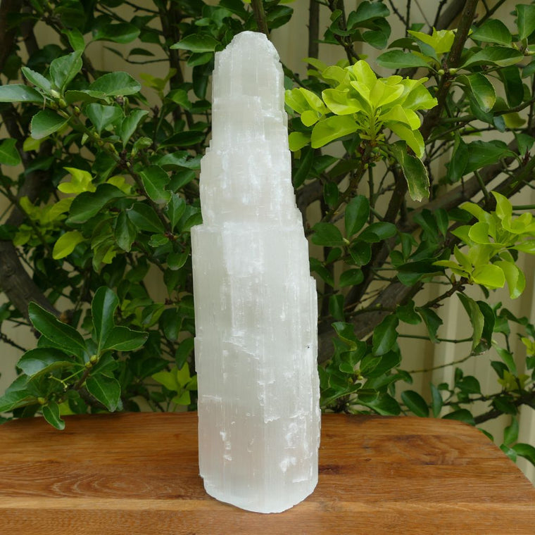 large selenite lamp