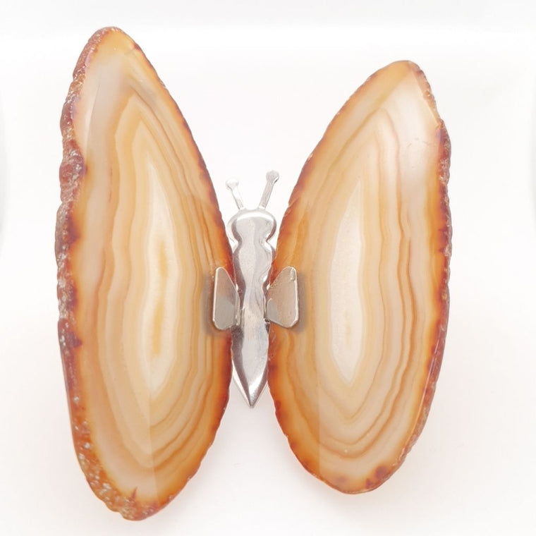 natural agate butterfly
