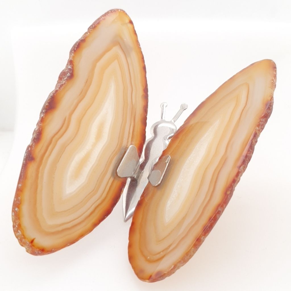 natural agate butterfly