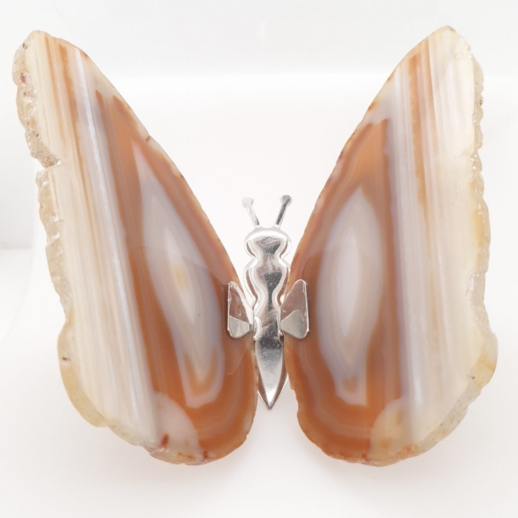natural agate butterfly