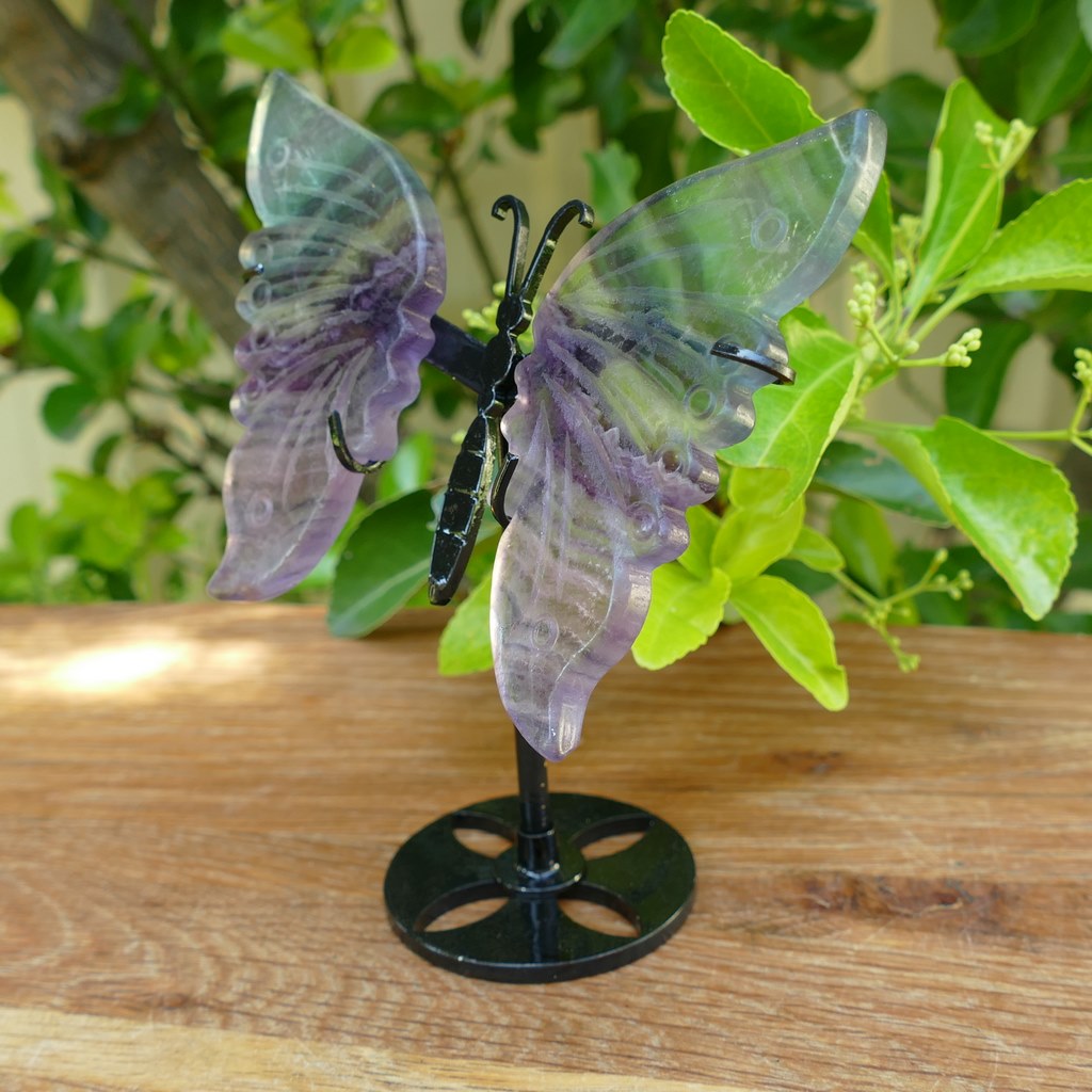 rainbow fluorite butterfly wings on metal stand