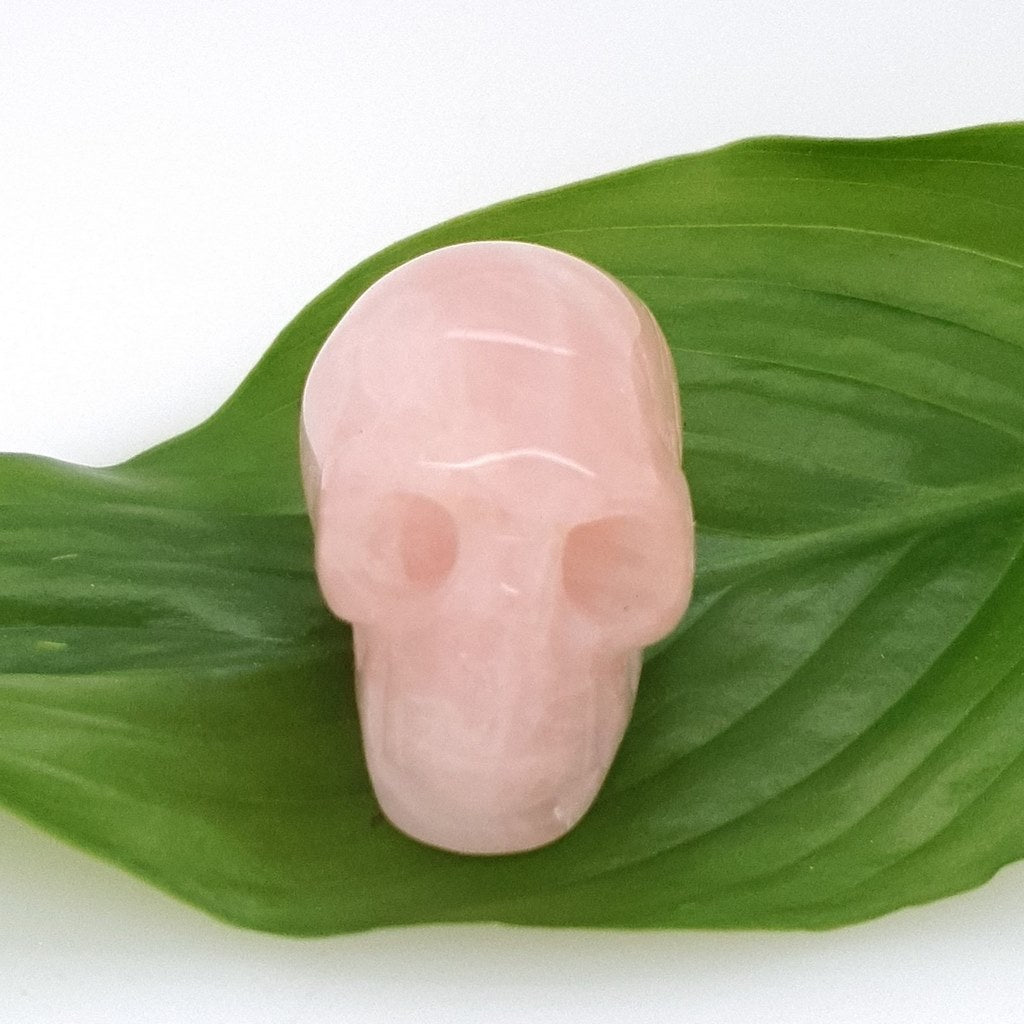 rose quartz crystal skull