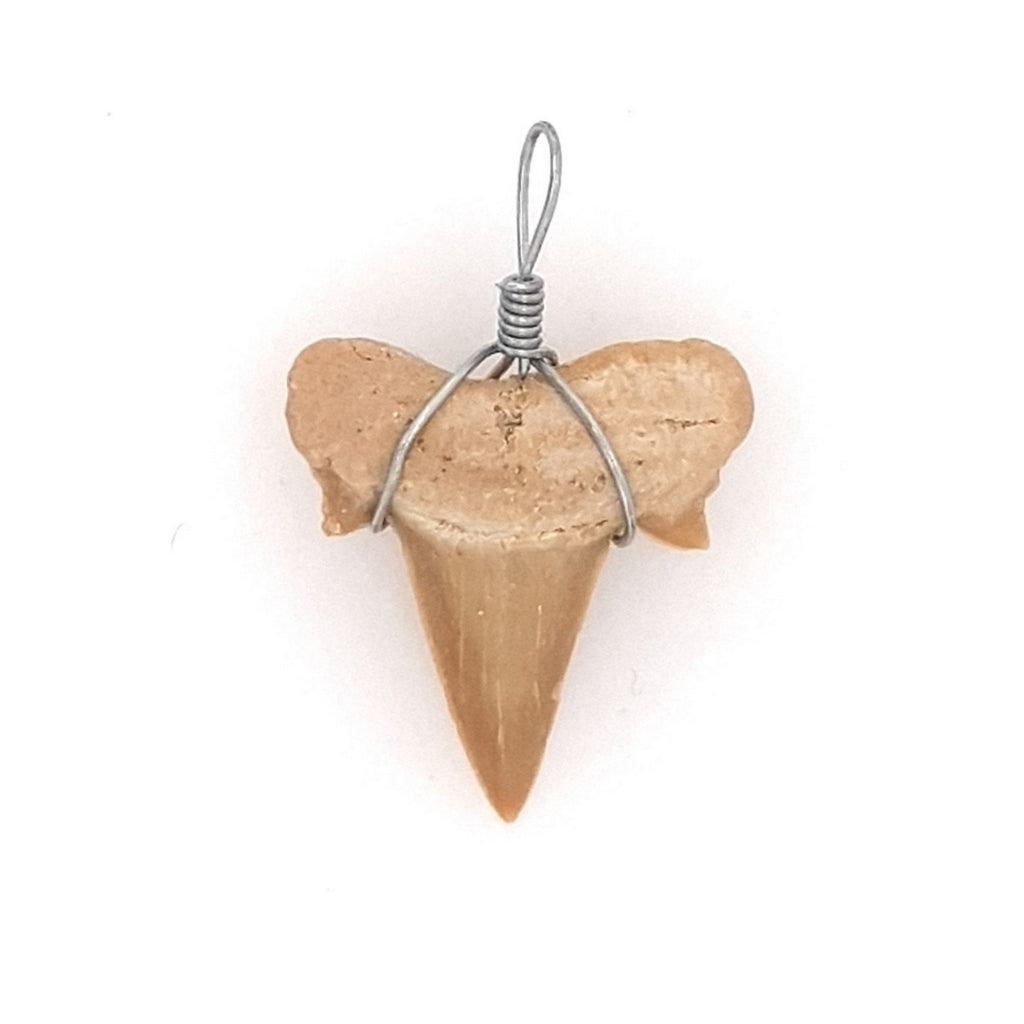 fossil shark tooth pendant