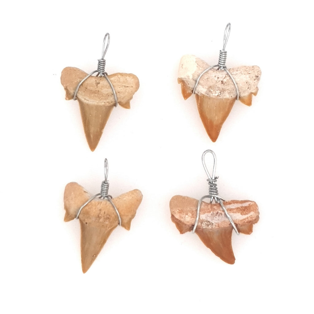 fossil shark tooth pendant