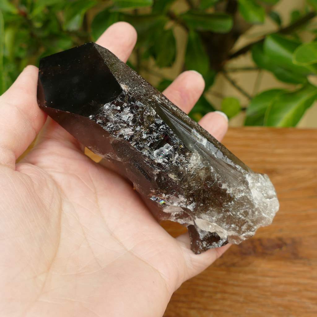 smoky quartz point cluster