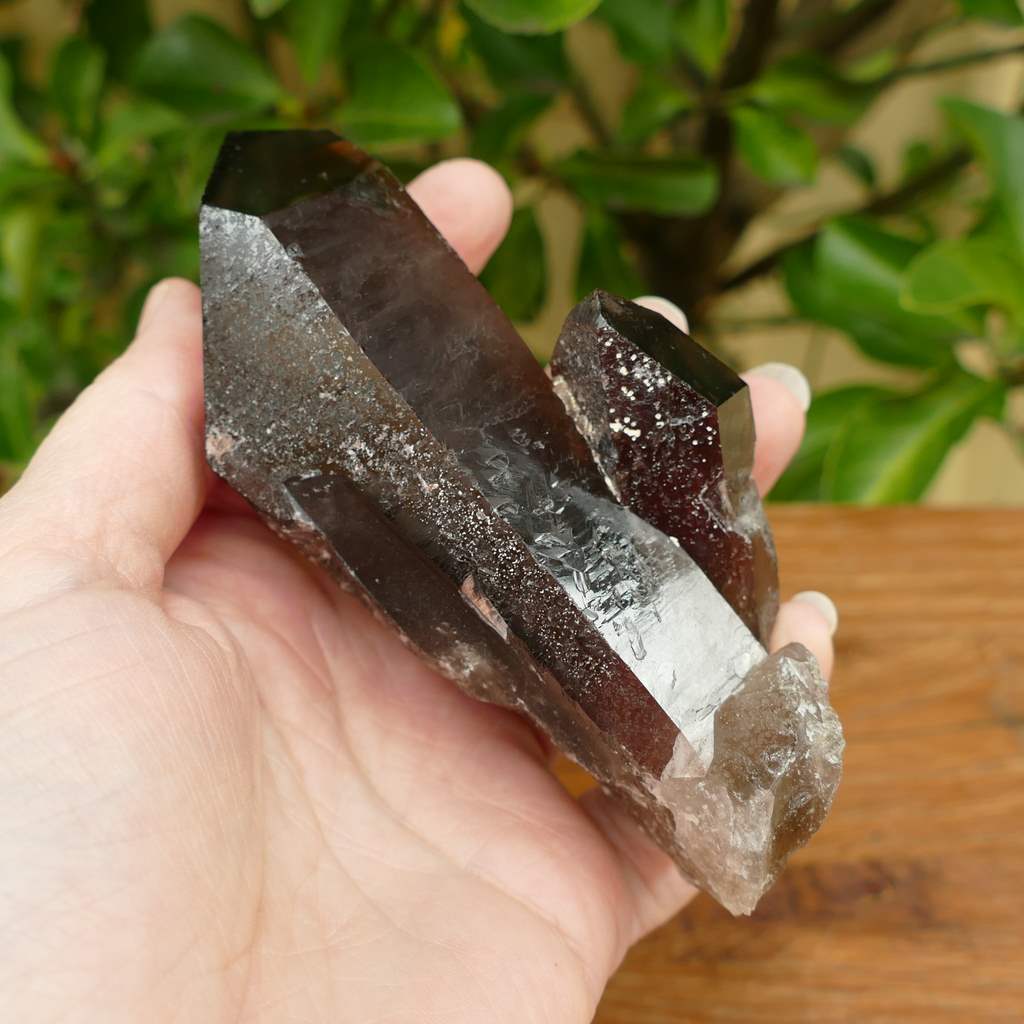 smoky quartz point cluster