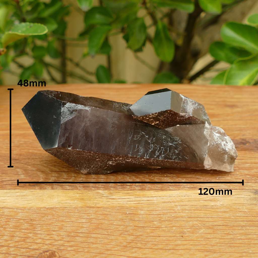 smoky quartz point cluster