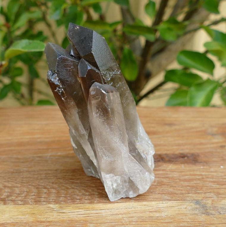 smoky quartz cluster