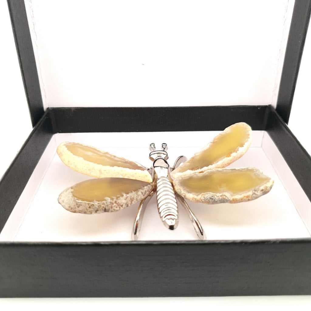 yellow agate butterfly