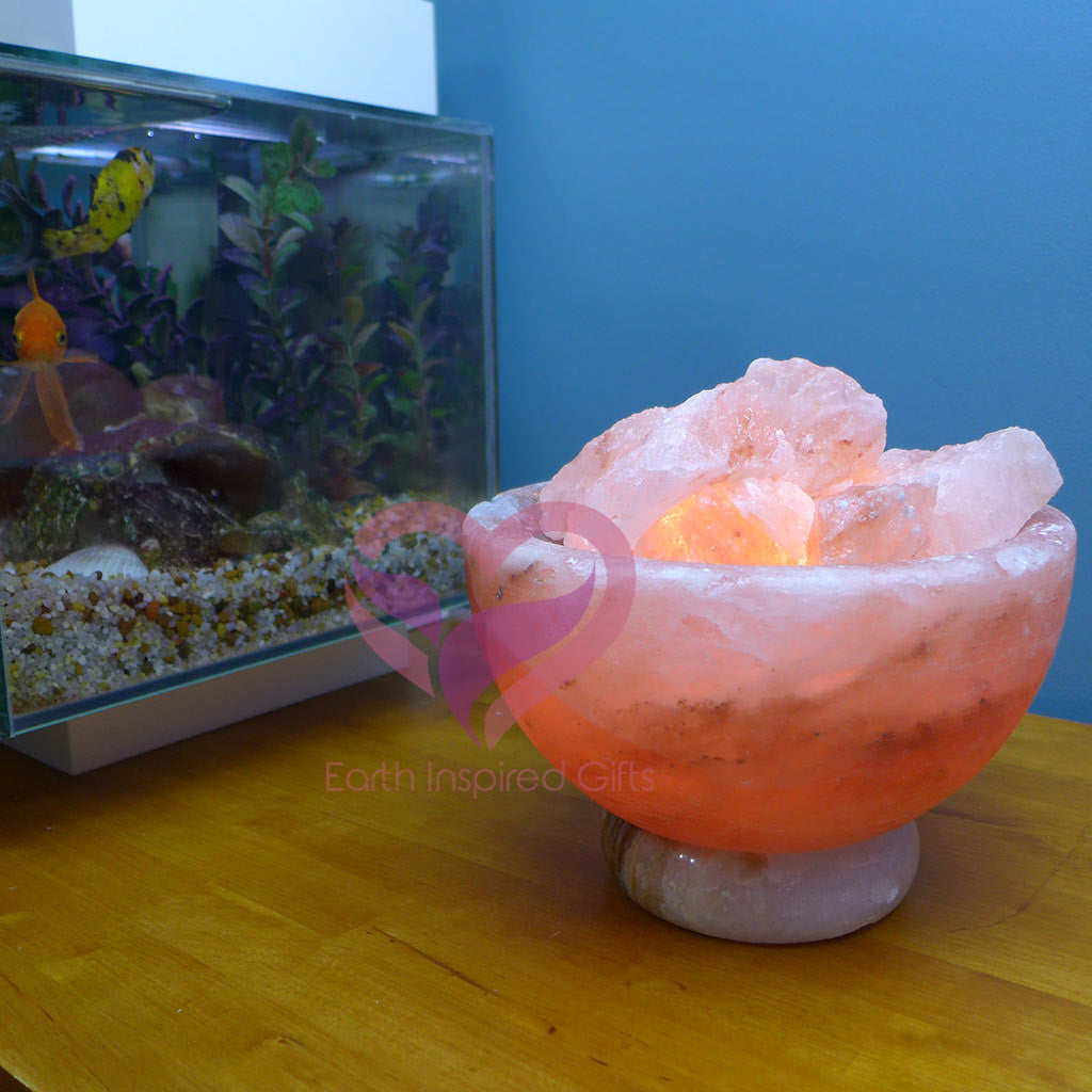 Himalayan Salt Bowl Fire Bowl Himalayan Salt Lamp - Earth Inspired Gifts